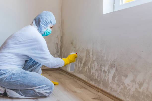 Hvac And Air Duct Mold Remediation inspection of HVAC system in Ponte Vedra