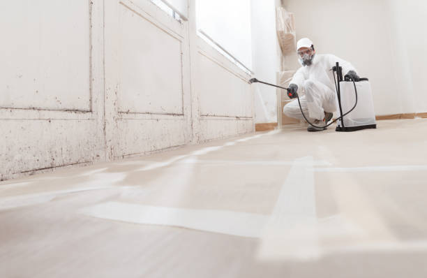 Post-remediation clearance in Ponte Vedra